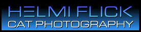 helmi flick logo