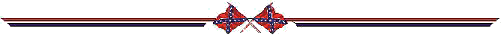 confederate flag dividing bar