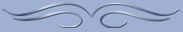 swirl divider