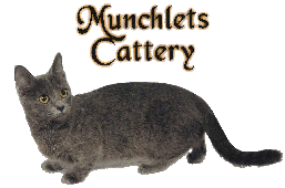 Munchlets Cattery