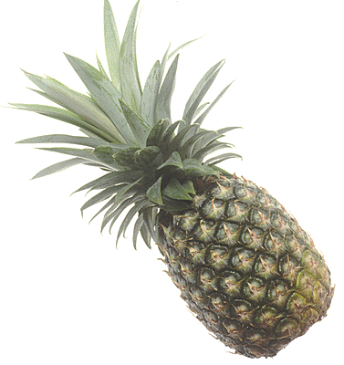 pineapple